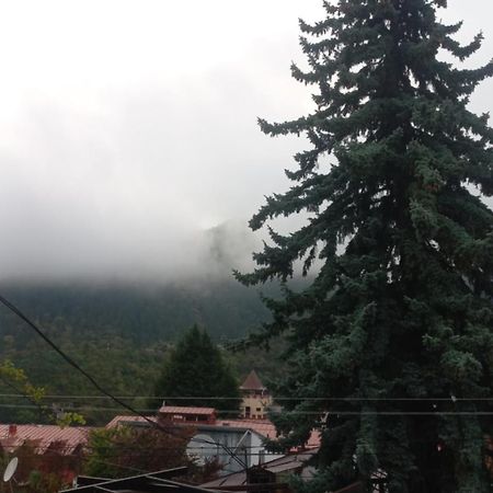 House Lia Borjomi Exterior foto
