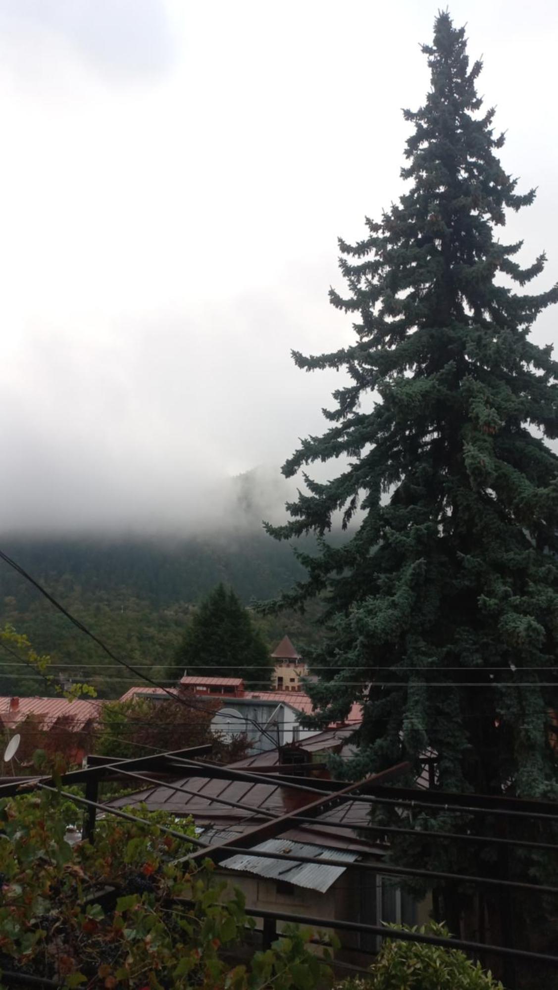 House Lia Borjomi Exterior foto