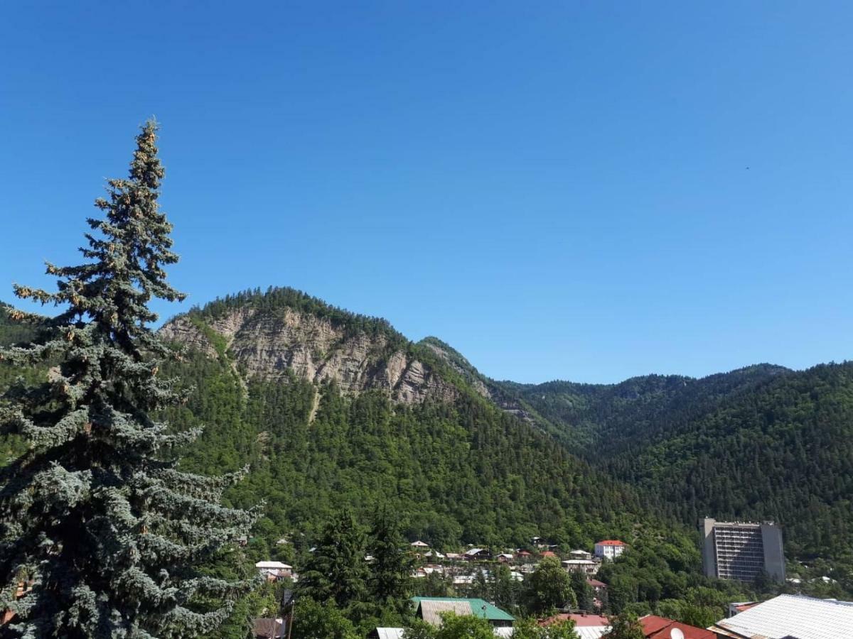 House Lia Borjomi Exterior foto
